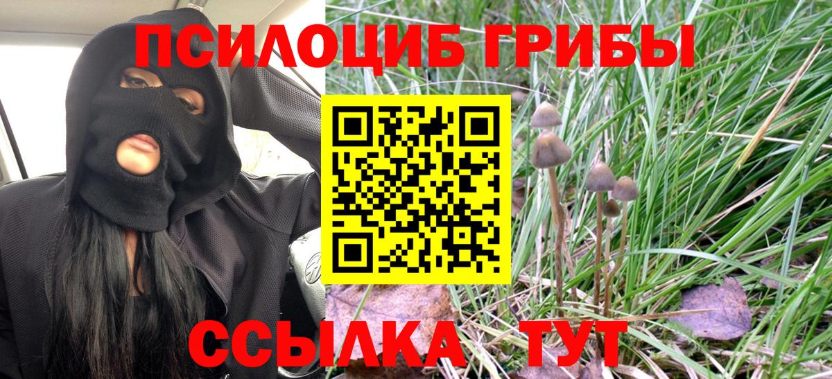 Нурлат  Галлюциногенные грибы ЛСД  Вход с VPN 
